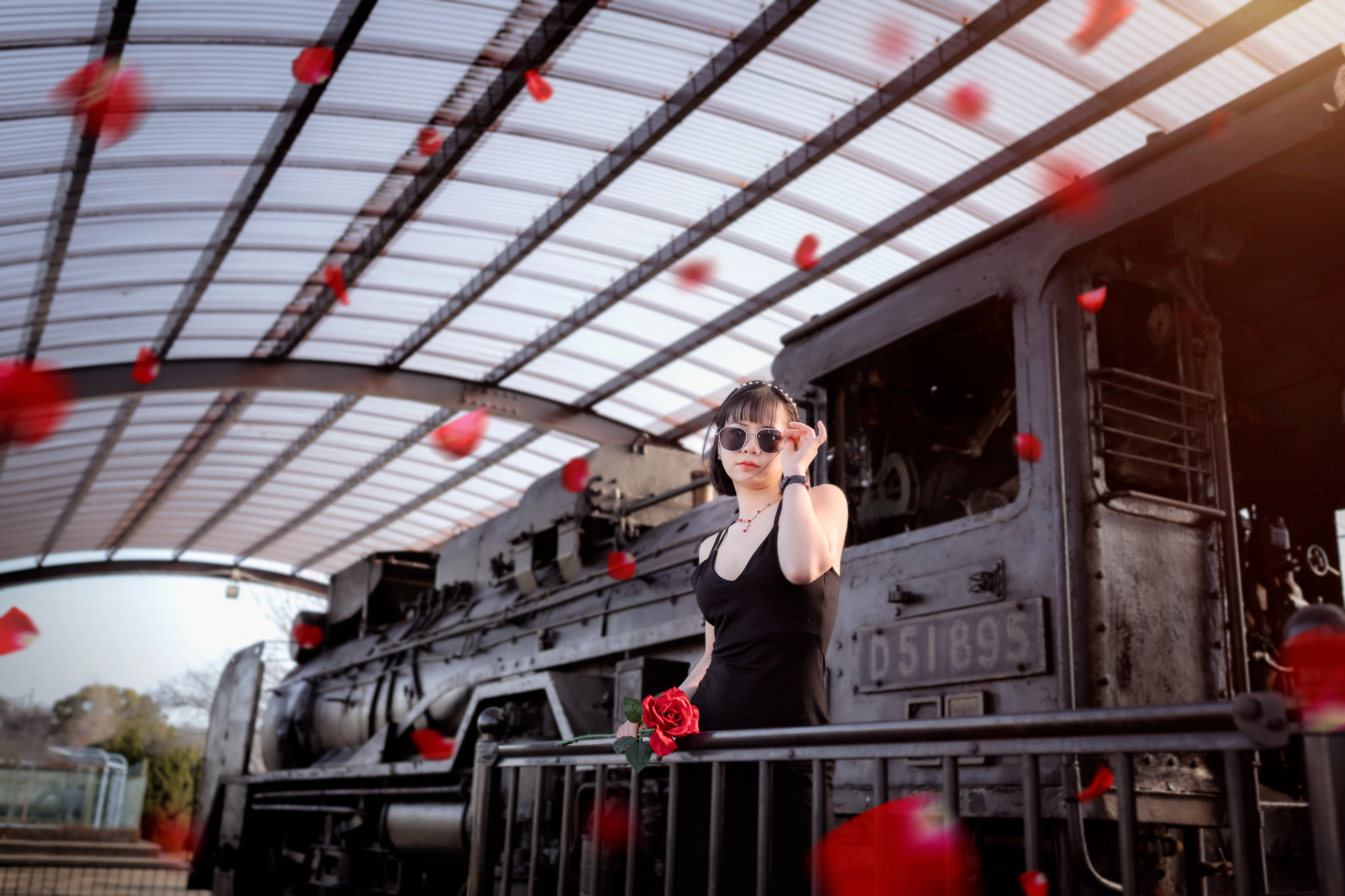Alluring Woman in Black Dress standing in a Train · Free Stock Photo