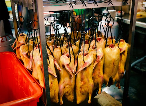 Chicken Hanging on Silver Rack