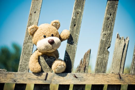 Cute teddy bear sitting on a rustic wooden fence against a clear summer sky.