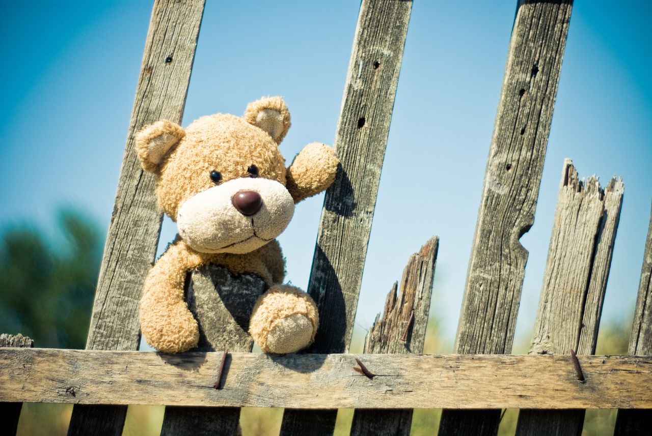 Un chien héroïque protège un enfant d'un ours