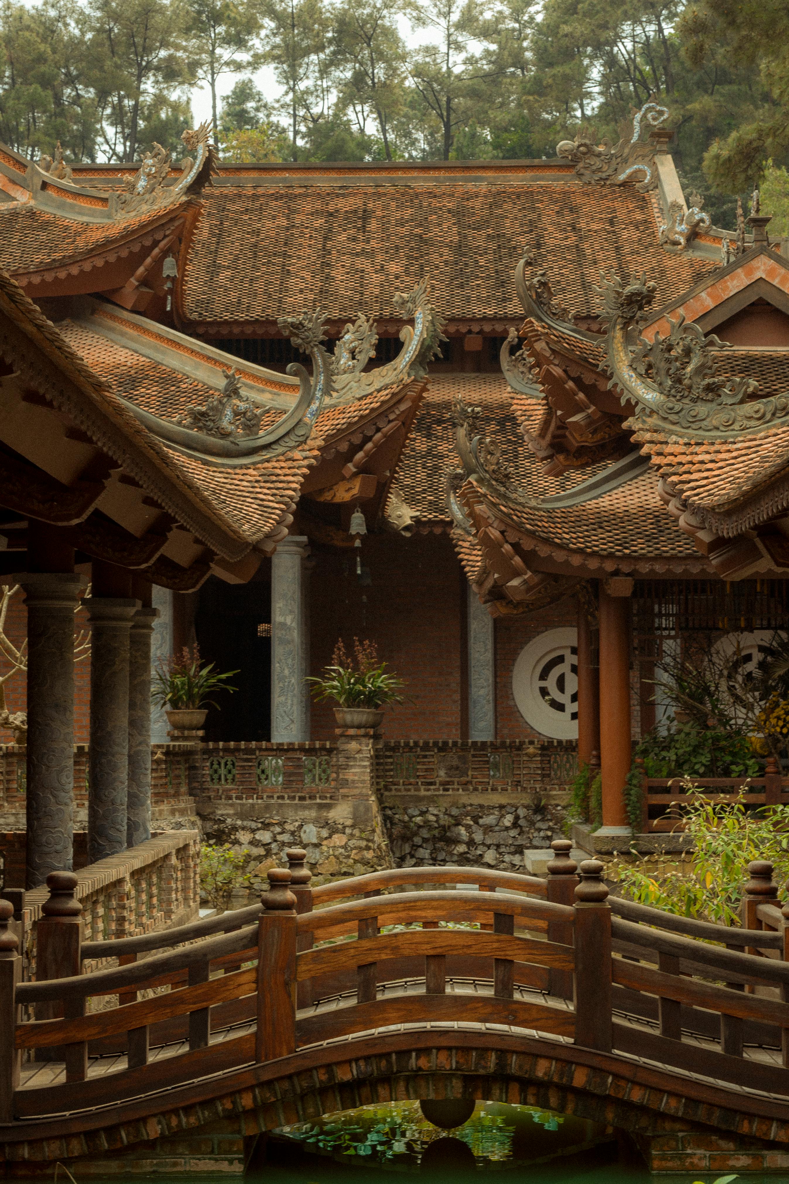 Nấm kho chay Món ăn chay truyền thống của Việt Nam