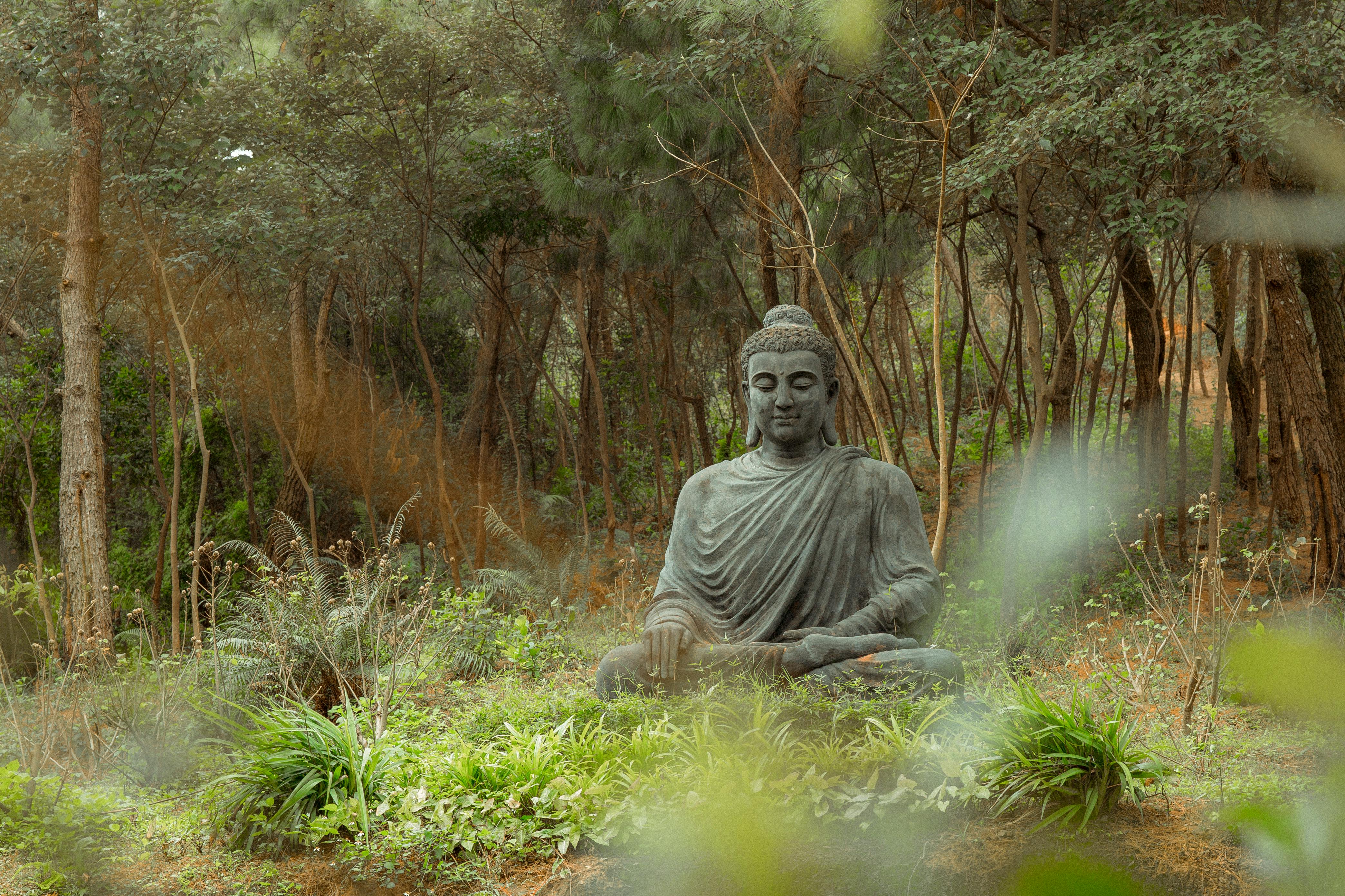 Buddha Statue Photos Download The BEST Free Buddha Statue Stock Photos  HD  Images