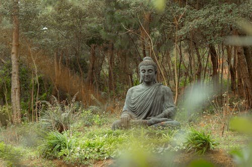 Meditating Buddha Stature in Nature