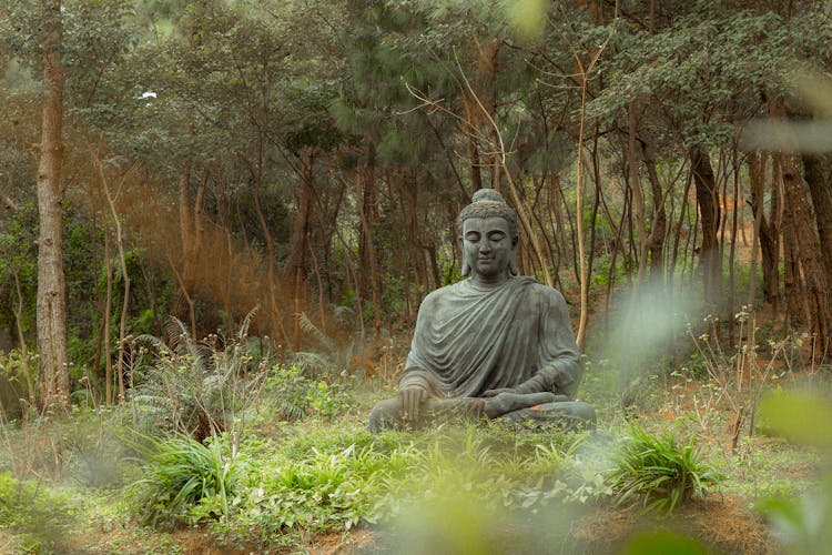 Meditating Buddha Stature In Nature