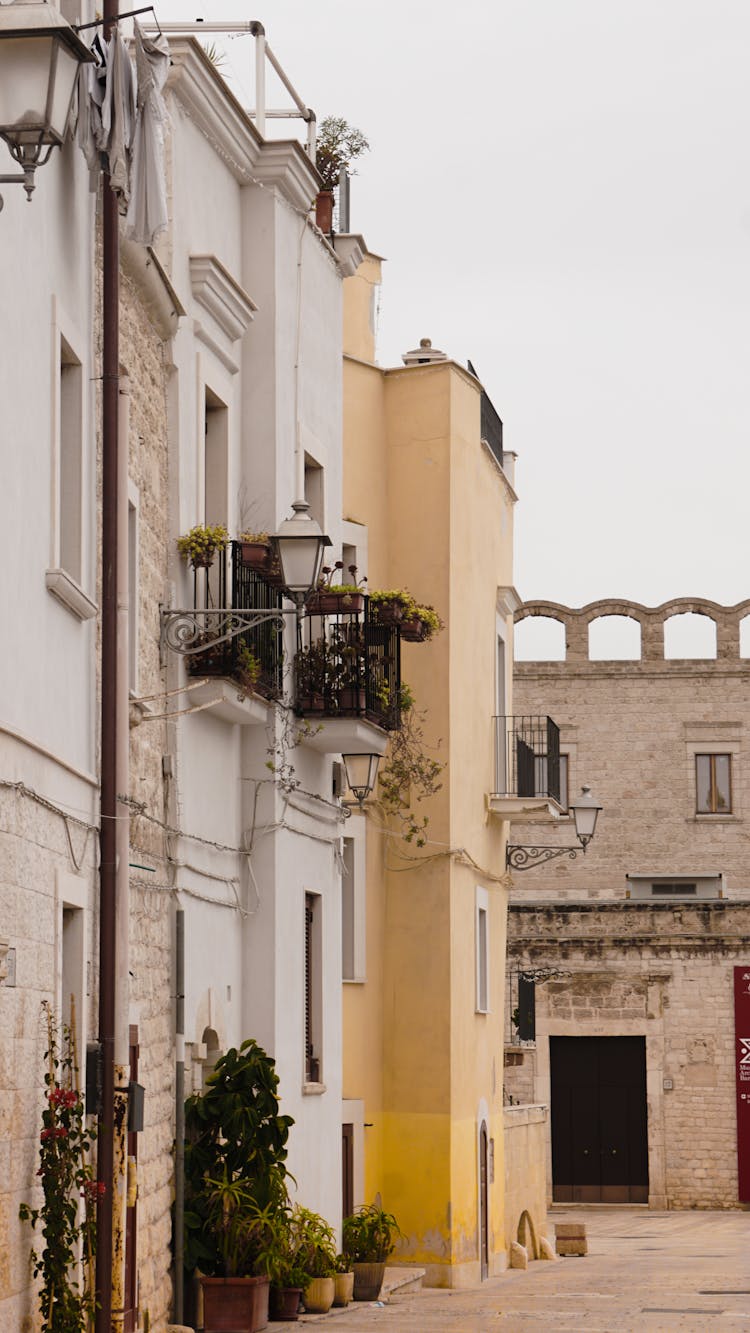 Streets Of Puglia 