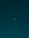 Black Bird Flying Under Blue Sky