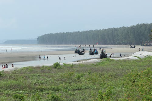 Foto profissional grátis de andando, areia, bangladesh