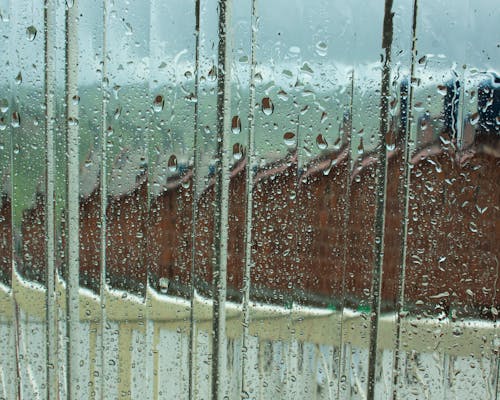 Free stock photo of rain, rain water, raindrop