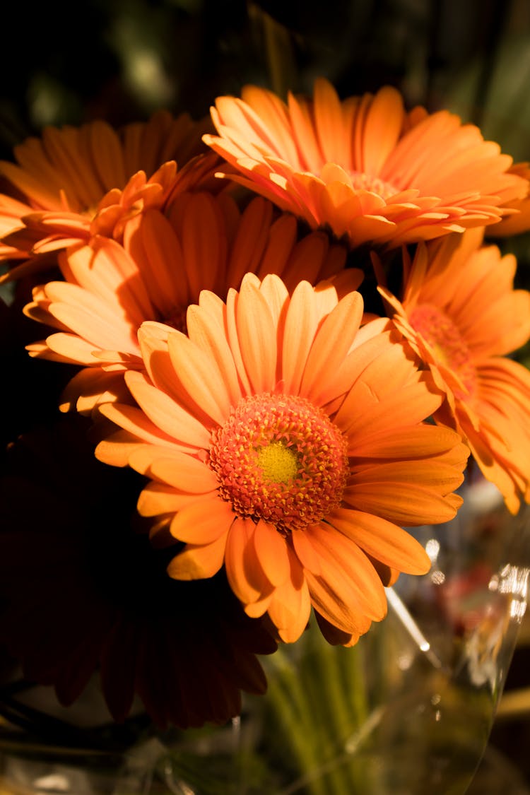 Blooming Gerbera Daisies In A Bouquet