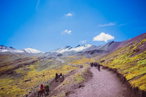 Photos gratuites de alpes, campagne, chemin de terre