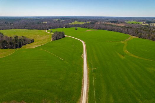 Aerial view of vibrant green farmland with winding dirt road under clear blue sky in North Carolina.