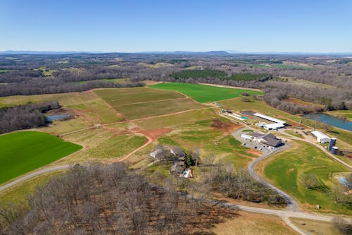 Fotos de stock gratuitas de arboles, cielo azul, foto con dron