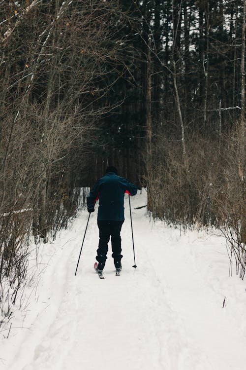 A Person Skiing on a Snow Covered Path in a Forest