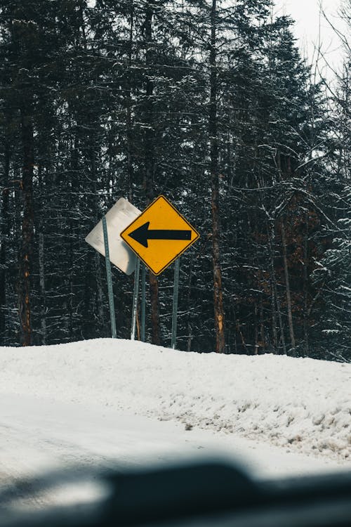 Photos gratuites de arbres, canada, couvert de neige