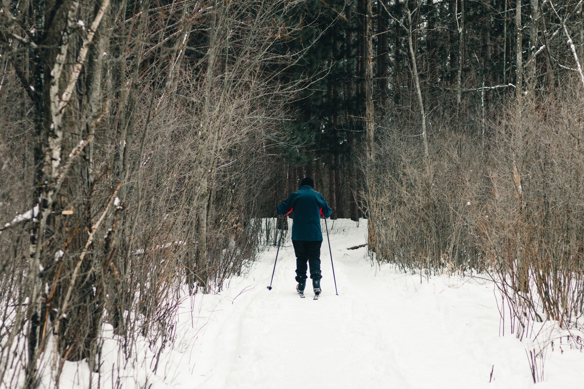 Camp Dudemaine / Fatbike