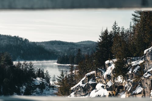 冬, 川, 森林の無料の写真素材