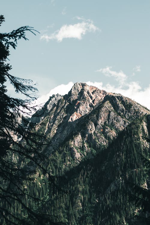 Free A Mountain in Glacier National Park Stock Photo