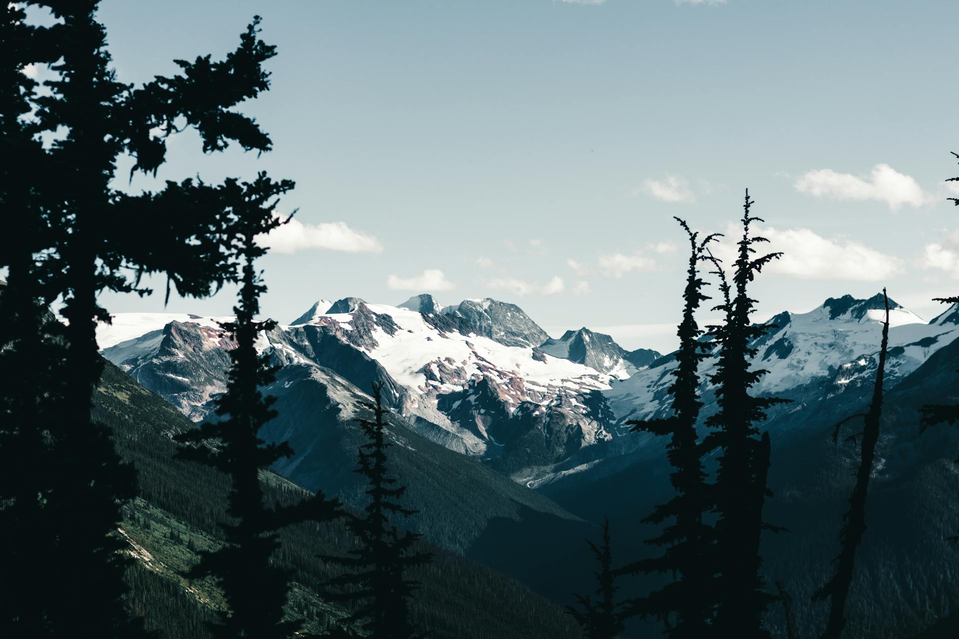 Scenic view of snow-capped mountains amidst trees in British Columbia wilderness.