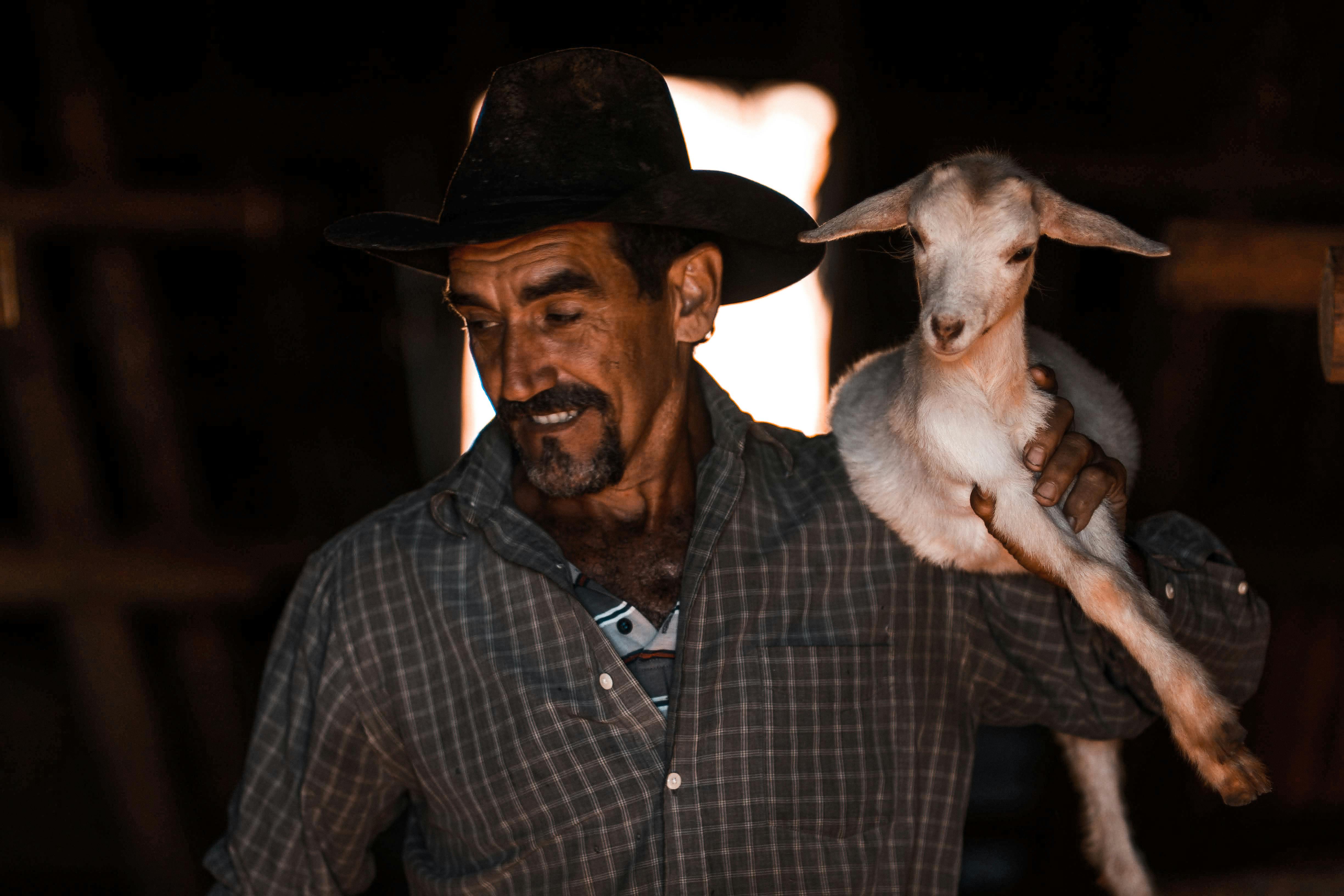 Animal health company is now human-animal bond certified — Photo by Mehmet Turgut  Kirkgoz on Pexels