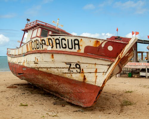 Free stock photo of boat, fishing boat, motor boat