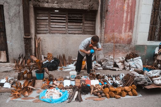 A street vendor arranges goods, plants, and artifacts on the sidewalk in a rustic market setting.