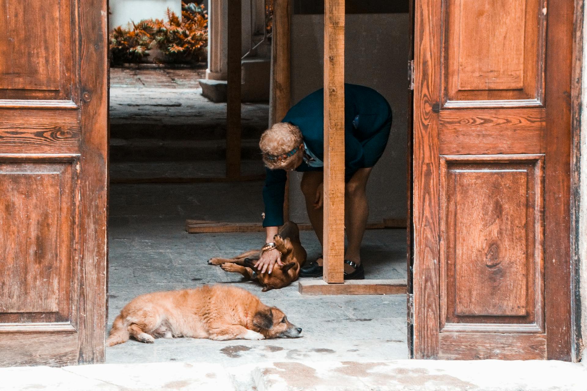 Woman with Dogs