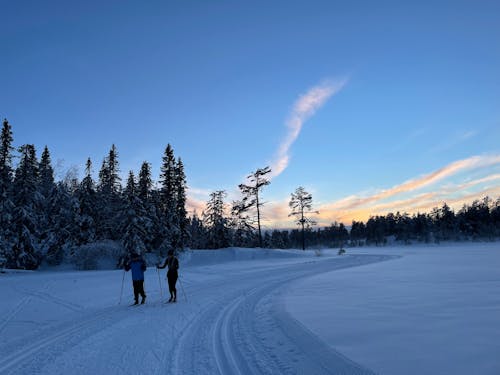 Man and Woman Skiing