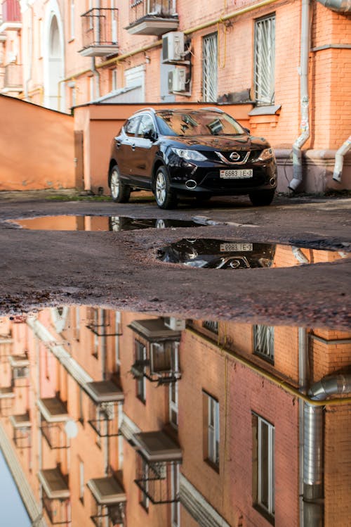 Základová fotografie zdarma na téma auto, automobil, louže