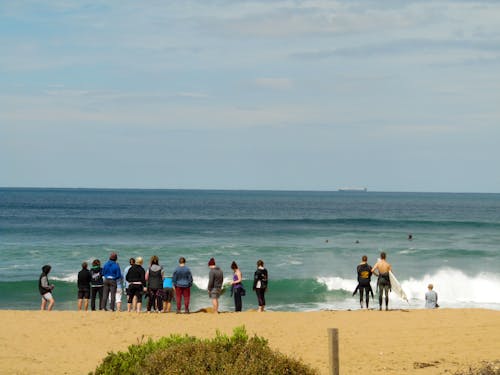 Free stock photo of australia, surf, wave