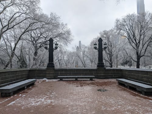 Free Central Park West - Winter (V.2) Stock Photo