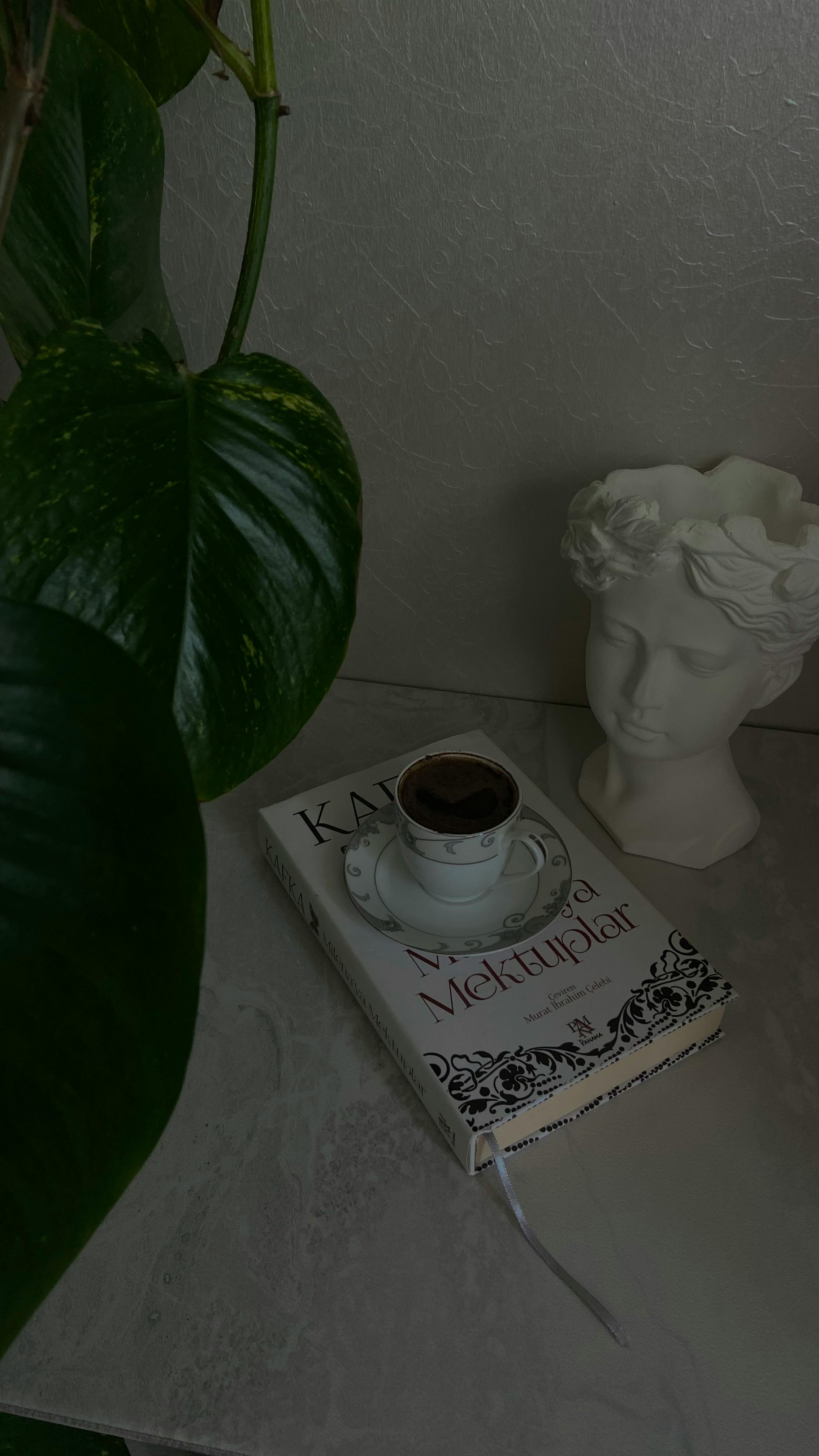 Aesthetic setup of Turkish coffee cup on a book beside a plant and sculpture in an artistic ambiance.