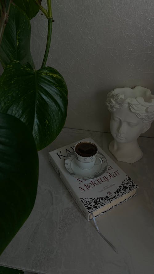Free Coffee Drink on Top of Book beside a Head Bust  Stock Photo