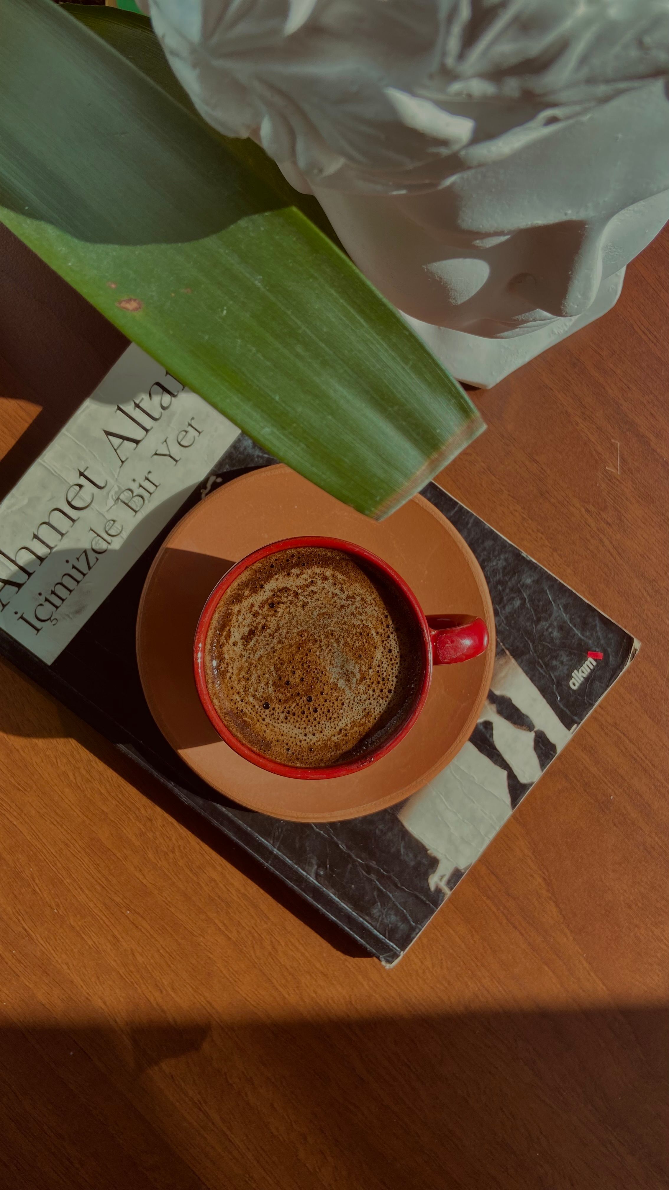 Overhead view of Turkish coffee alongside a book and a plant in natural light.