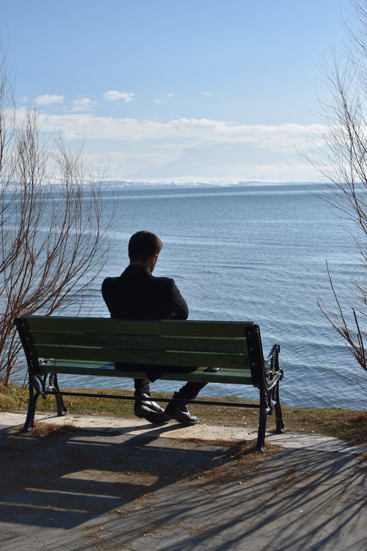 Back View Of A Man Sitting On A Bench