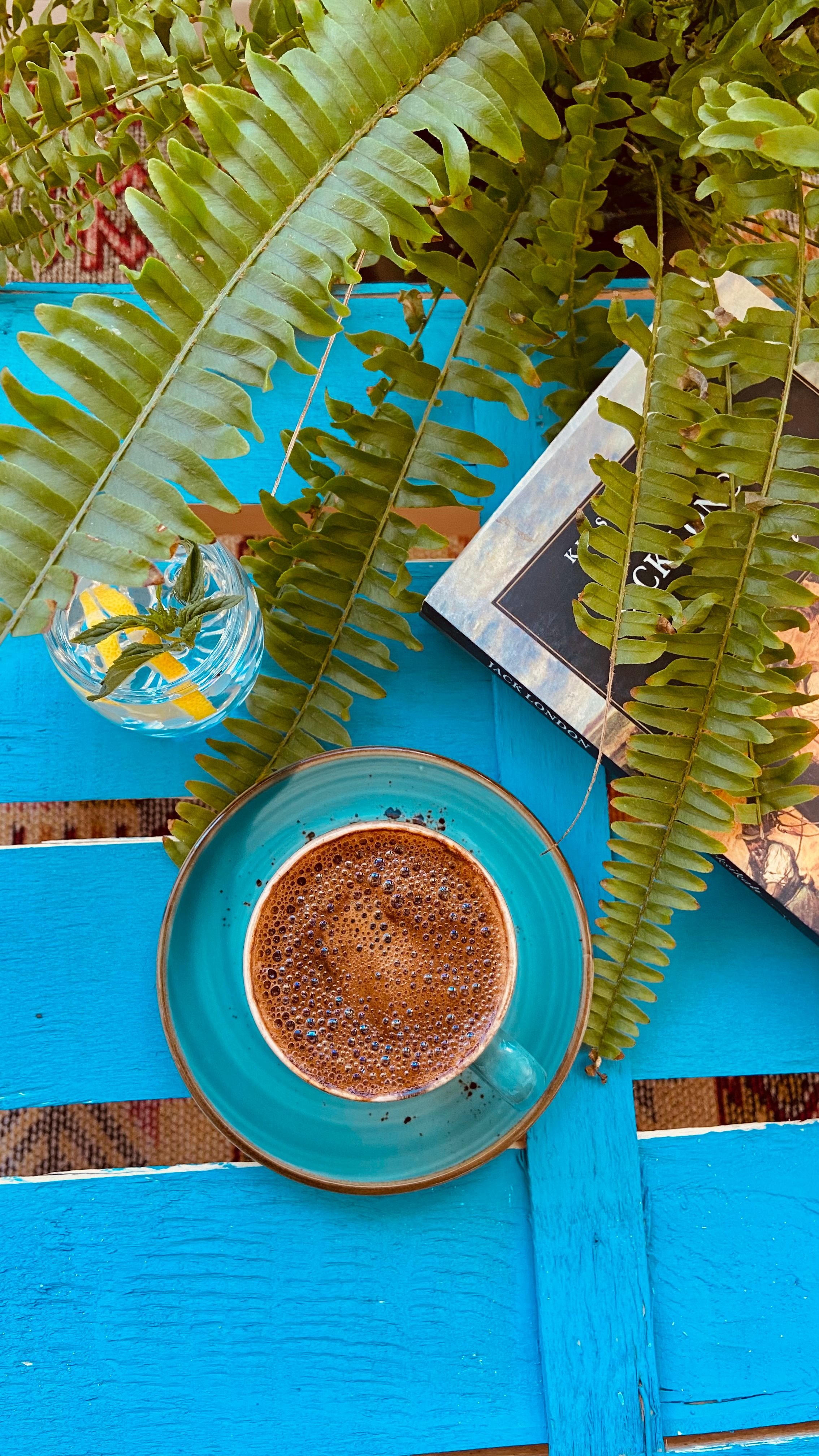 Turkish coffee in a blue cup, surrounded by fern leaves and a book, creating a cozy atmosphere.