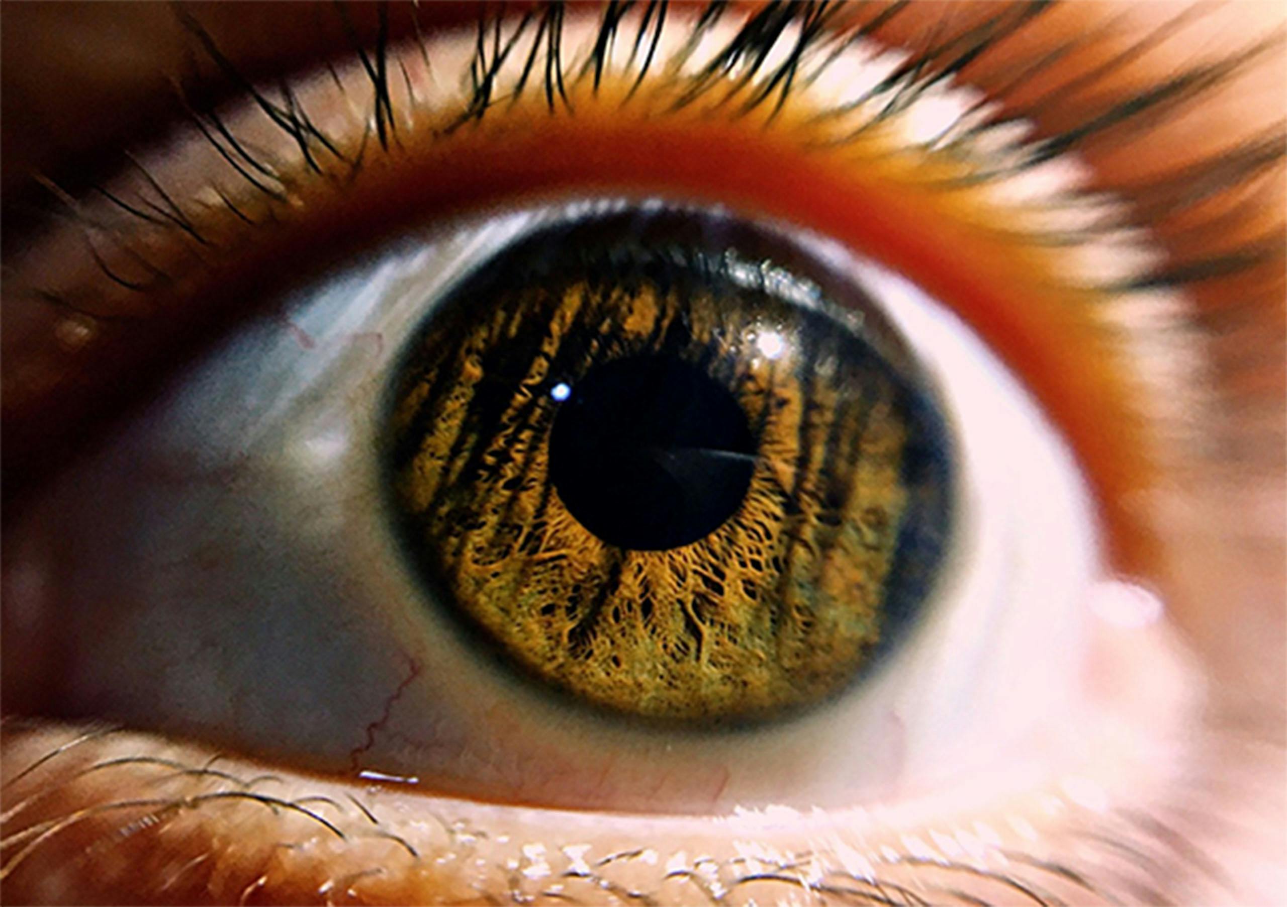 Extreme Close-Ups of the Human Eye