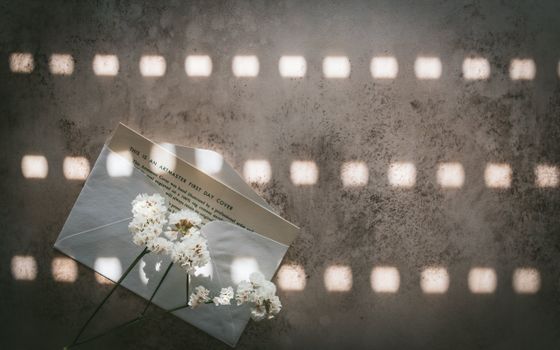 Flat lay of an open envelope with flowers on a textured surface, dappled with light and shadow.