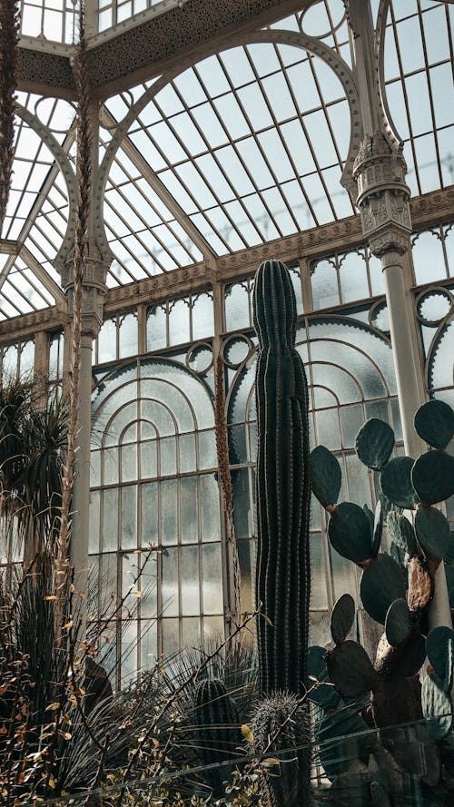 Kakteenhaus Botanical Garden in Germany