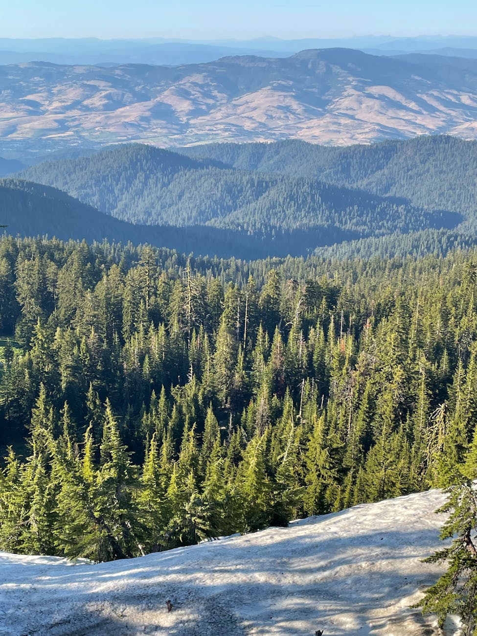 Ashland - Tiny Homes