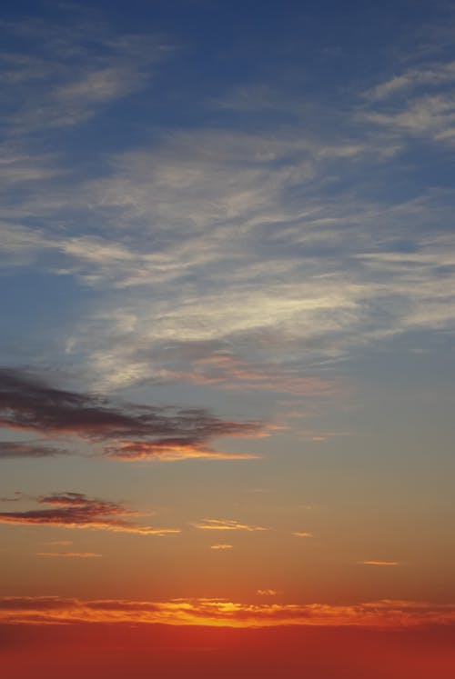 青空の無料の写真素材