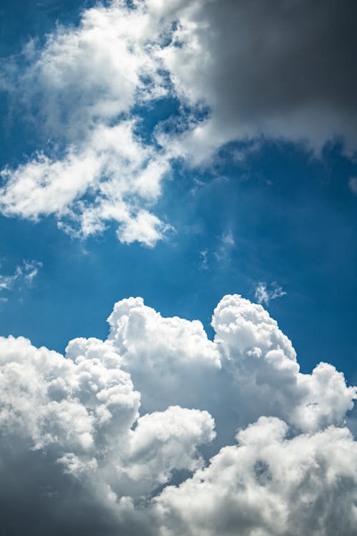 Gratis Fotos de stock gratuitas de ambiente, cielo azul, cielo nublado Foto de stock