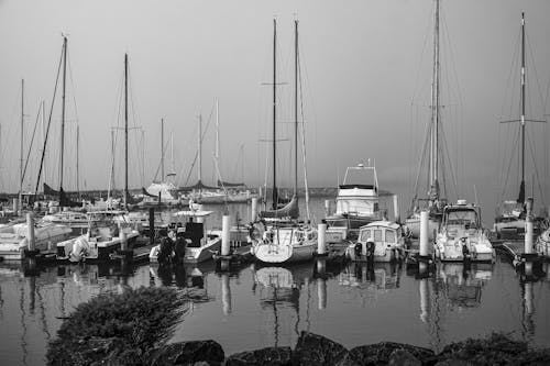 Grayscale Photo of Boats Docked in a Pier
