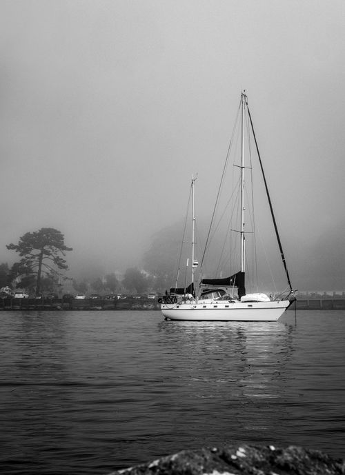 Free Black and white image of a sailboat in a serene, fog-covered harbor with calm water. Stock Photo