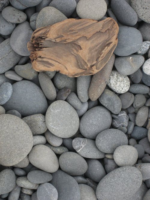 免费 一般開銷, 卵石, 岩石 的 免费素材图片 素材图片