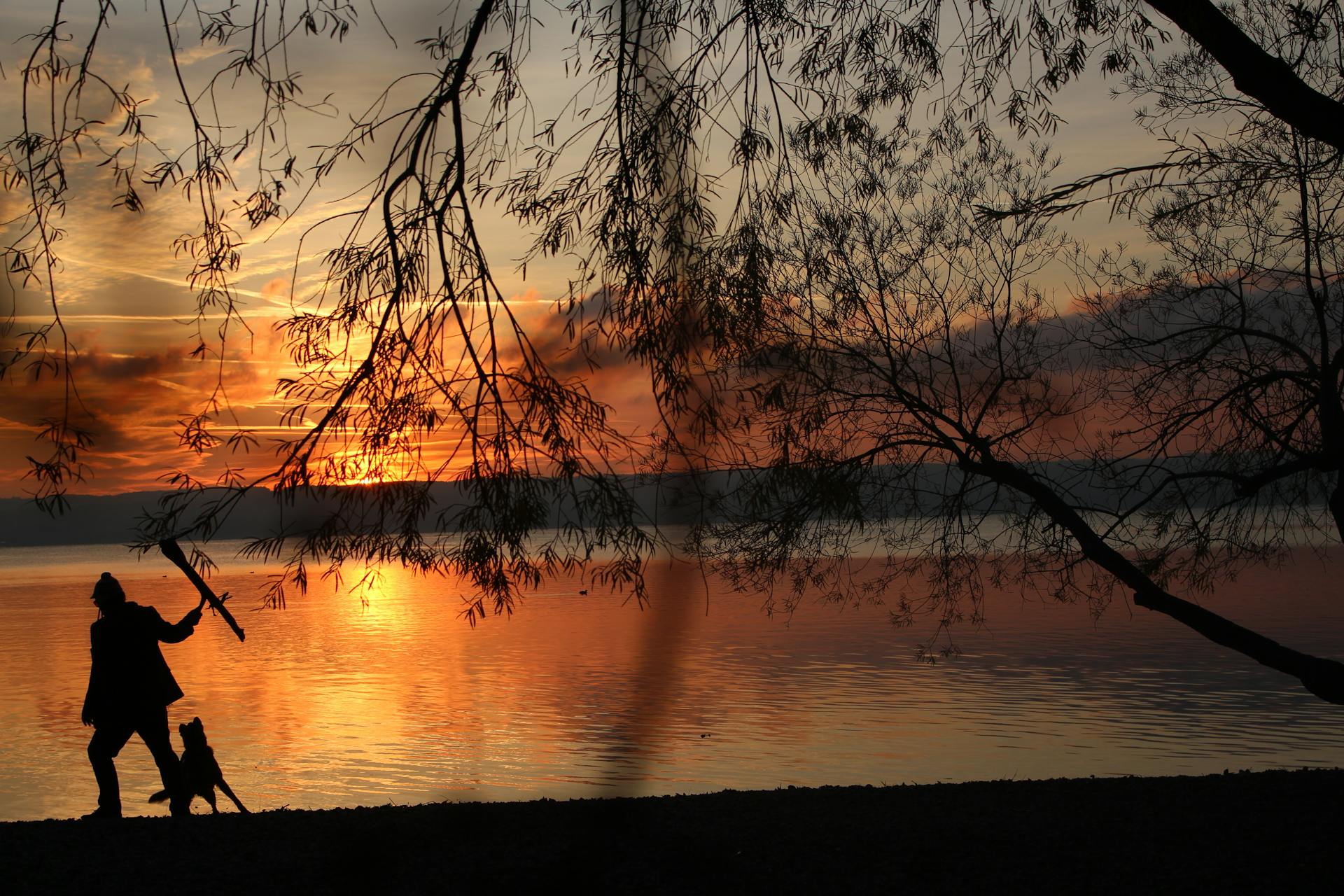 Silhouette of Human and Dog Near Body of Water