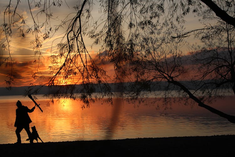 Silhouette Of Human And Dog Near Body Of Water