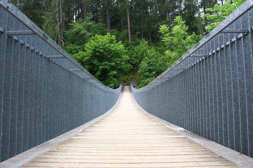 бесплатная серо коричневый бетонный мост Стоковое фото