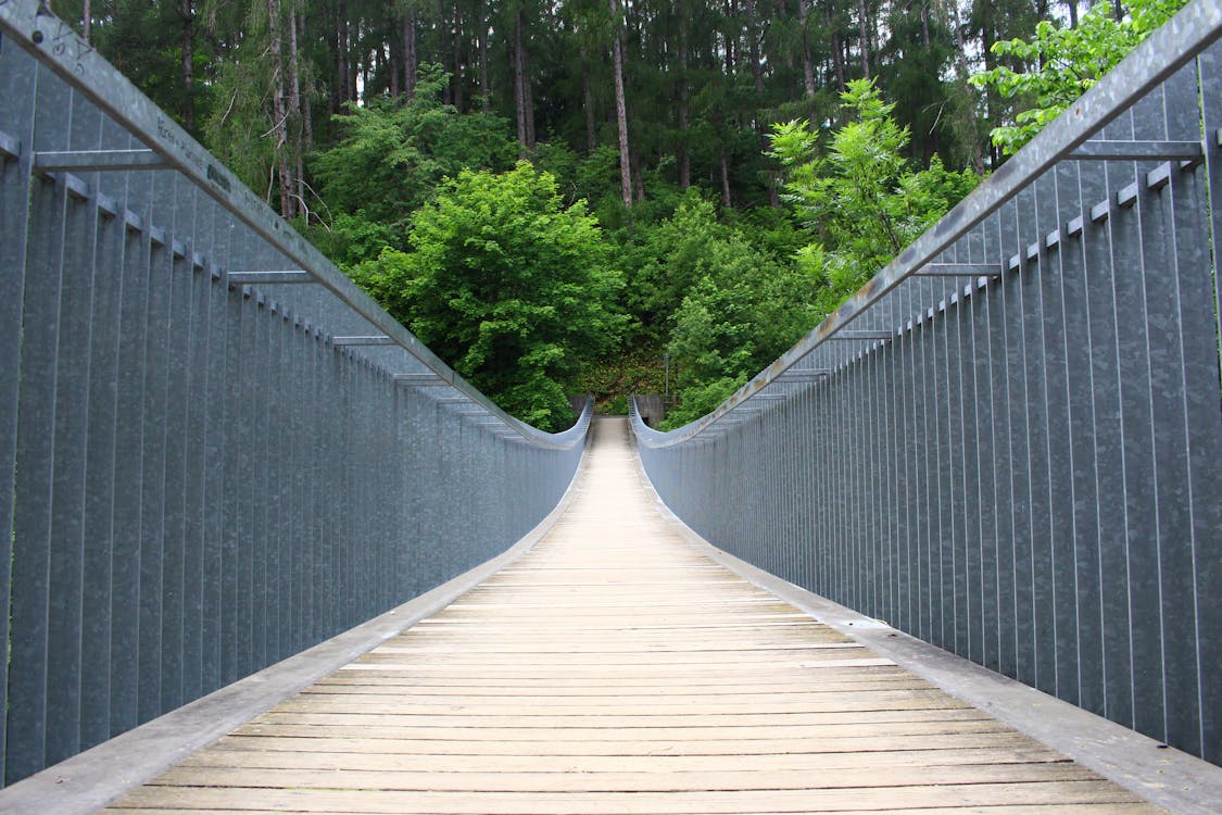 Graue Und Braune Betonbrücke