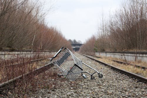 Kostnadsfri bild av blå, einkaufswagen, grön