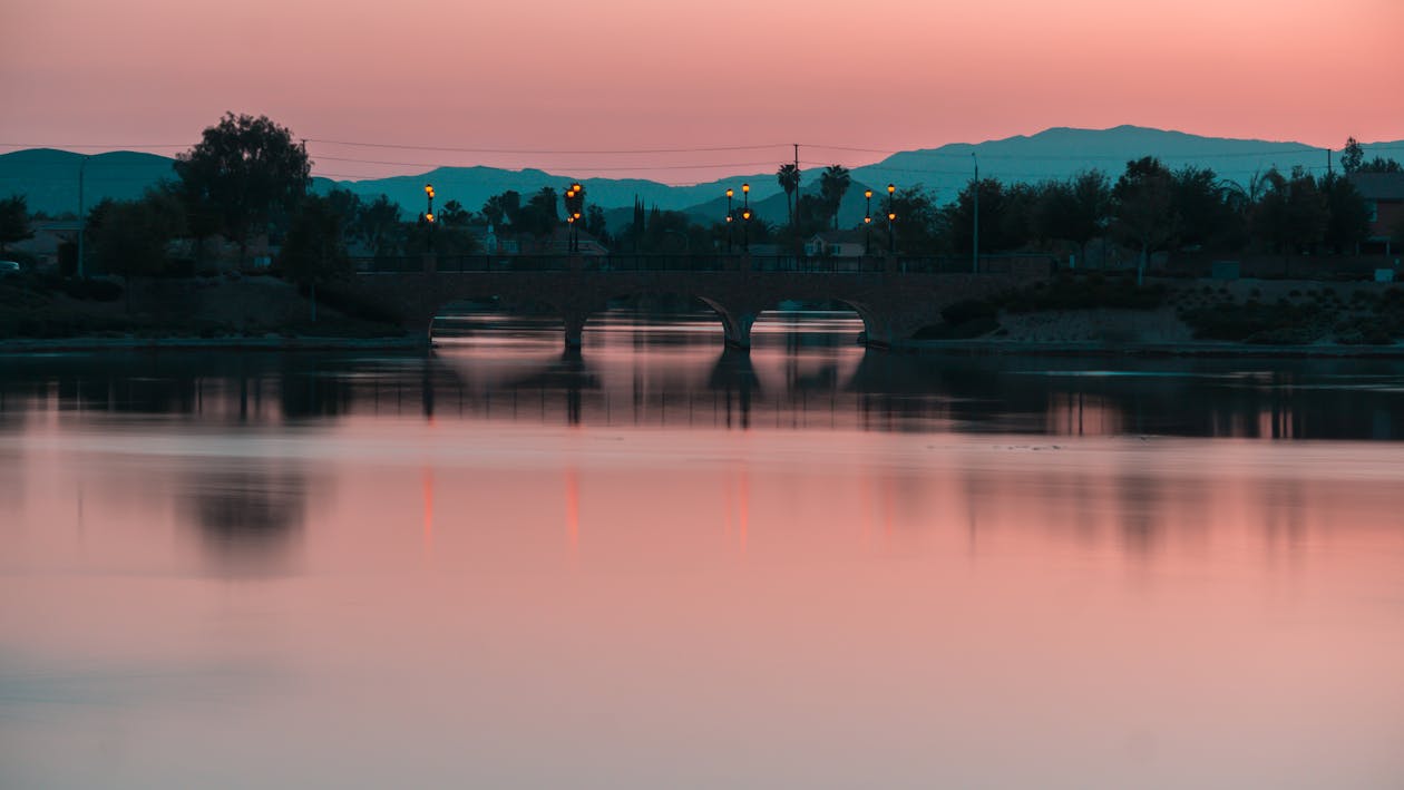 Plan D'eau Calme Entouré D'arbres